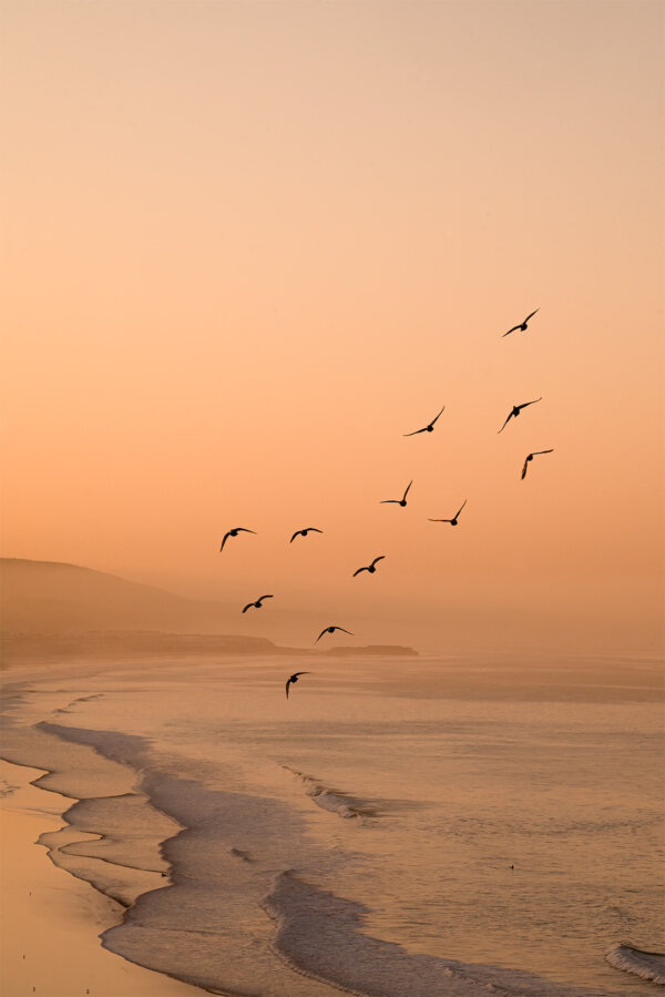 Taghazout birds sunrise