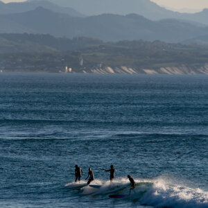 Party wave