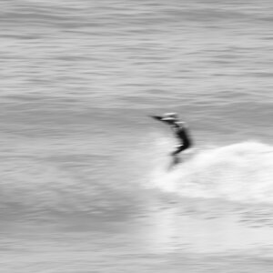 Motion