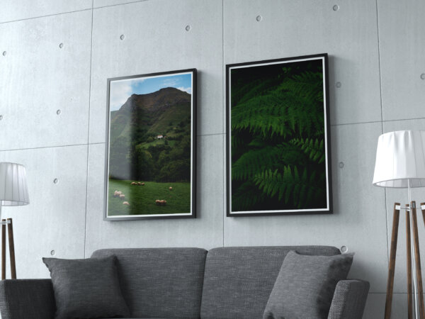 Nature - Image 2