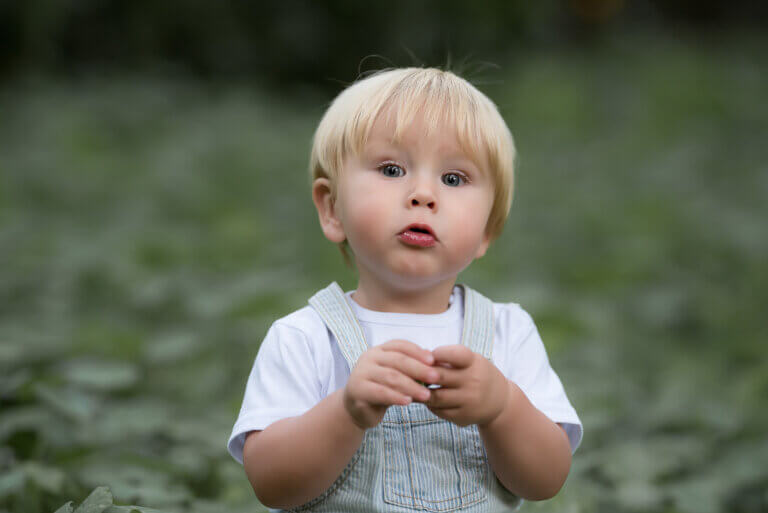 baby photo session in the forest